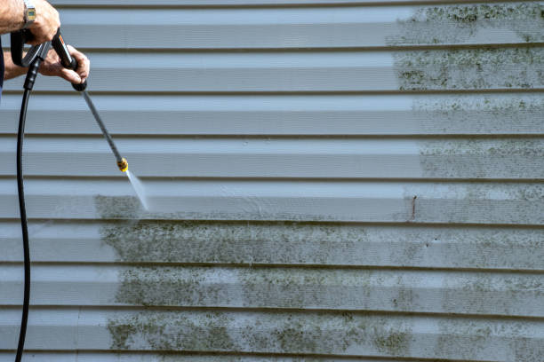 Best Siding Removal and Disposal  in Bloomingdale, TN